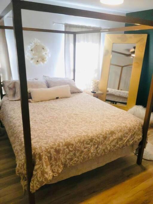 Beauty! Johns Hopkins! 3 Bedroom Apartment