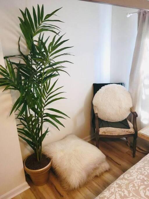 Beauty! Johns Hopkins! 3 Bedroom Apartment Baltimore
